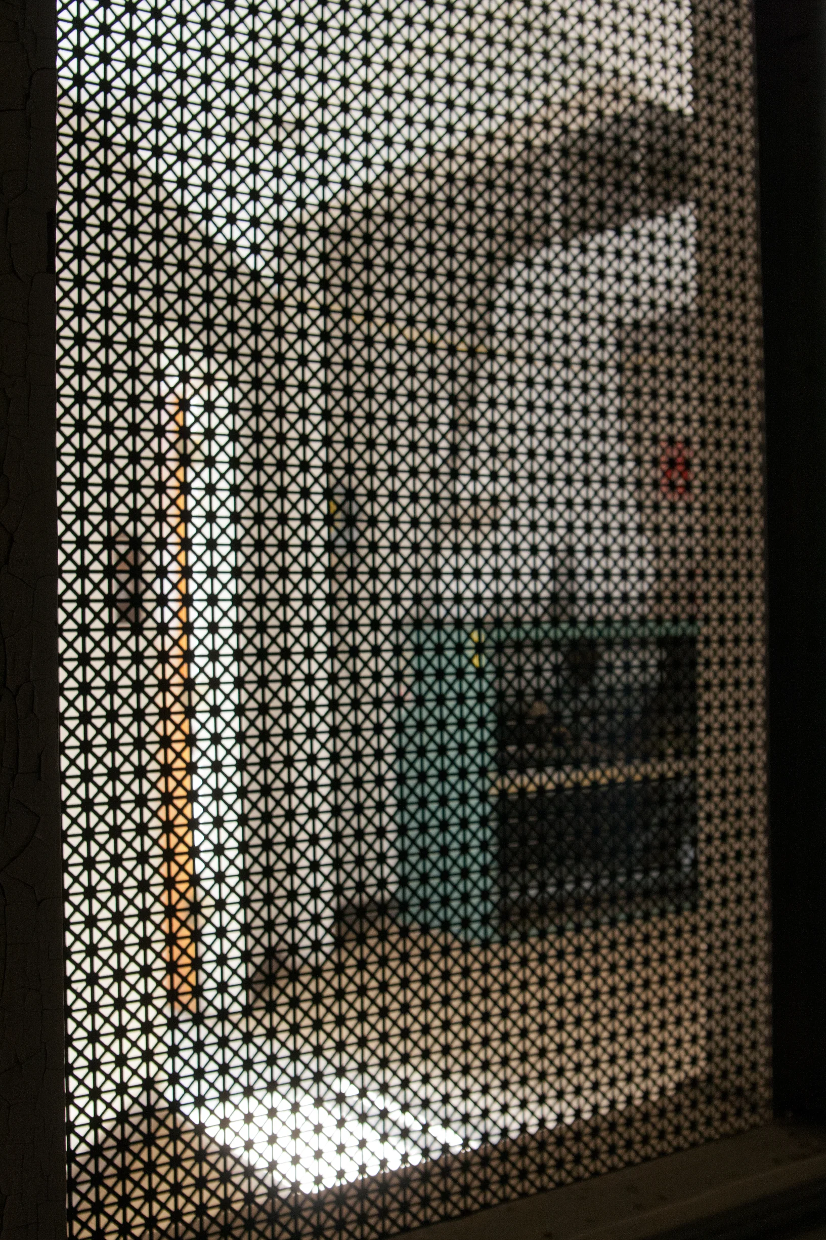 IMG_0062.jpg