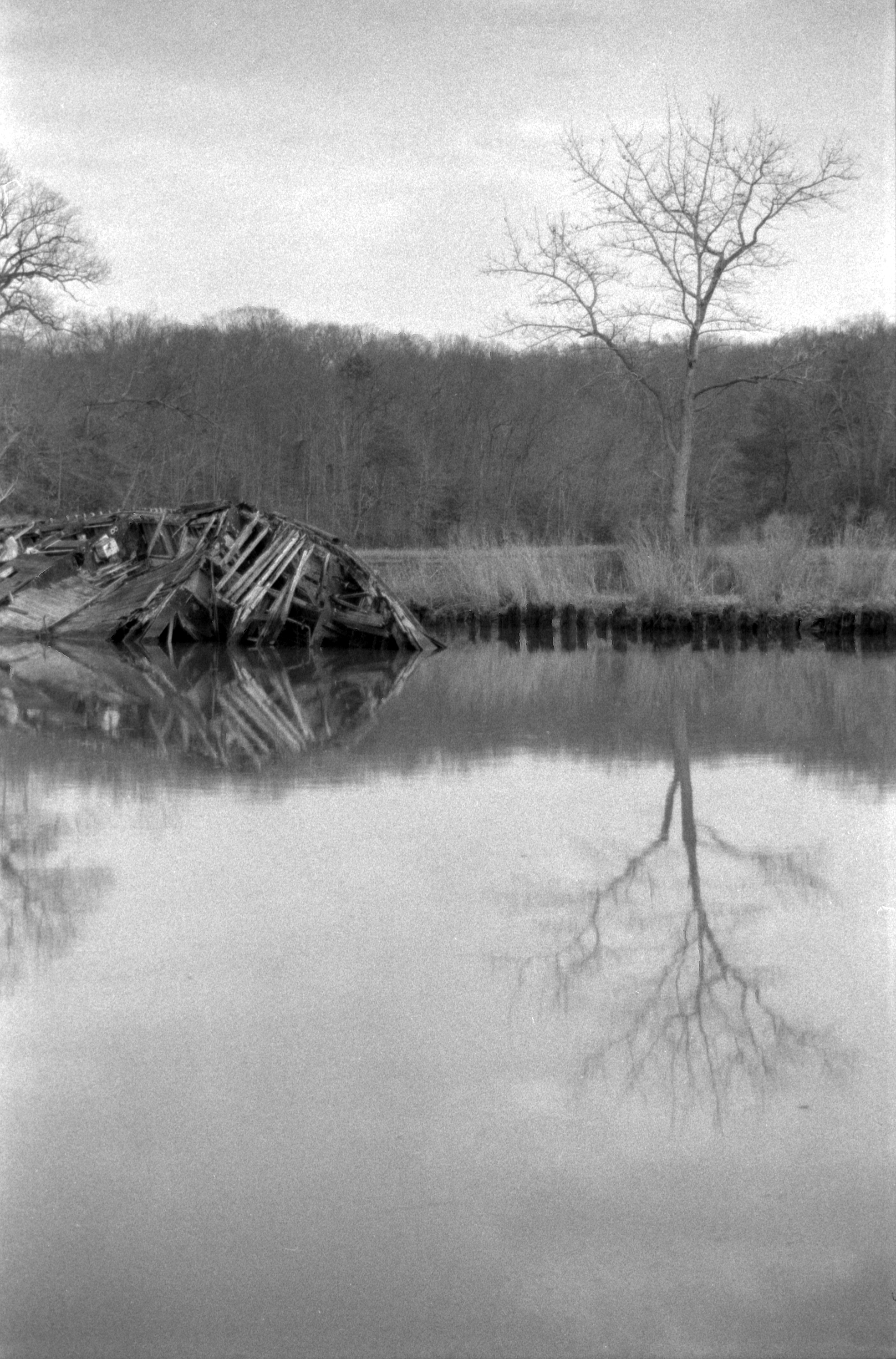 Epson_03042011_0777_OlyOM_HP5_2.jpg