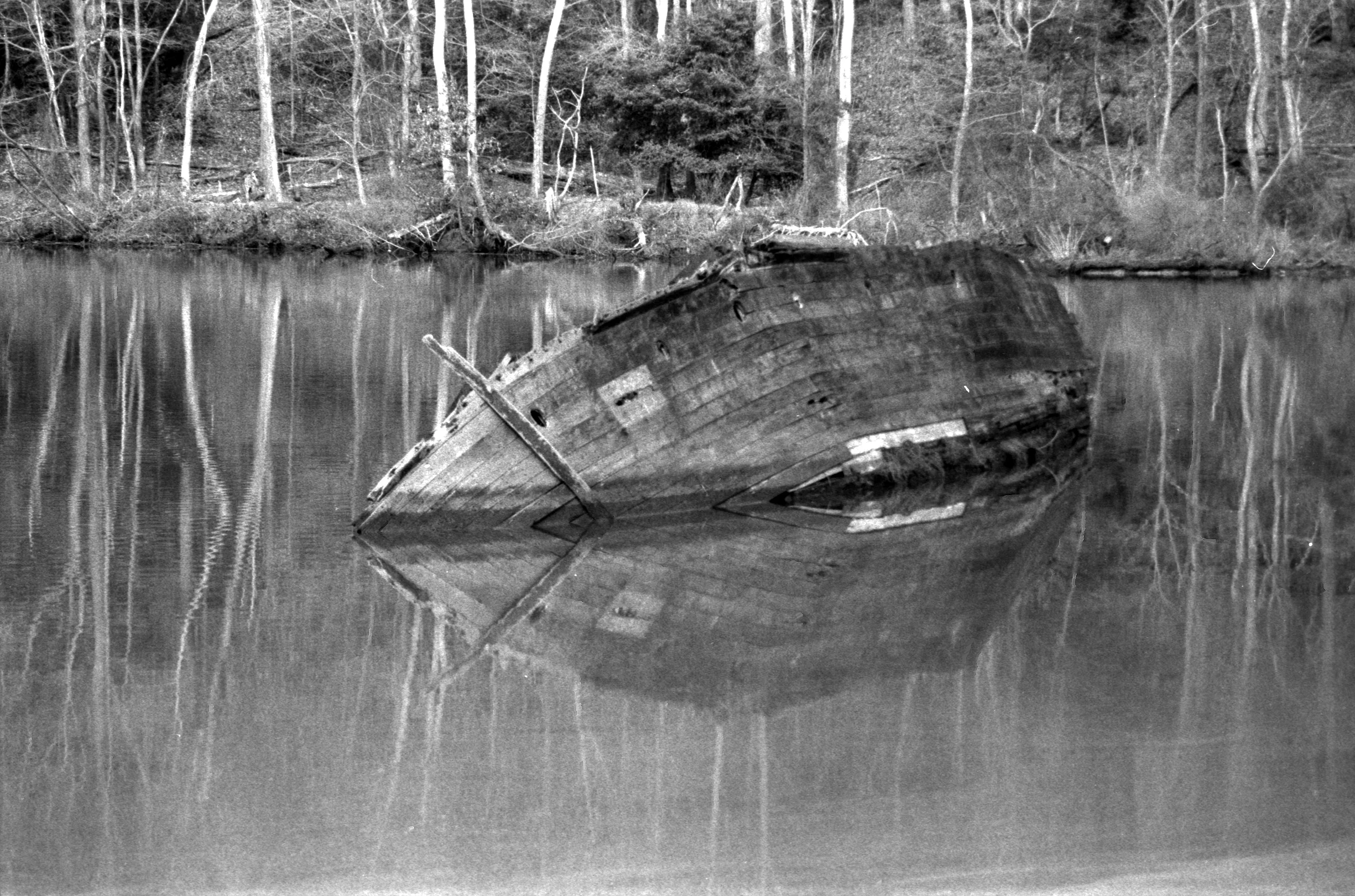 Epson_03042011_0777_OlyOM_HP5_9.jpg