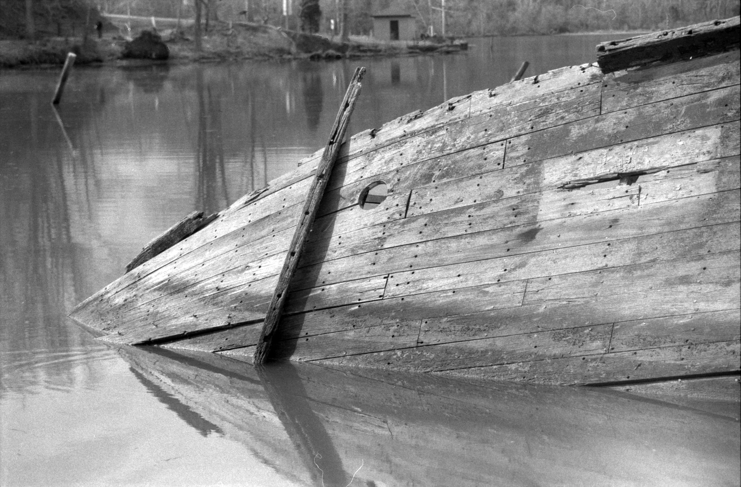 Epson_03042011_0777_OlyOM_HP5_10.jpg