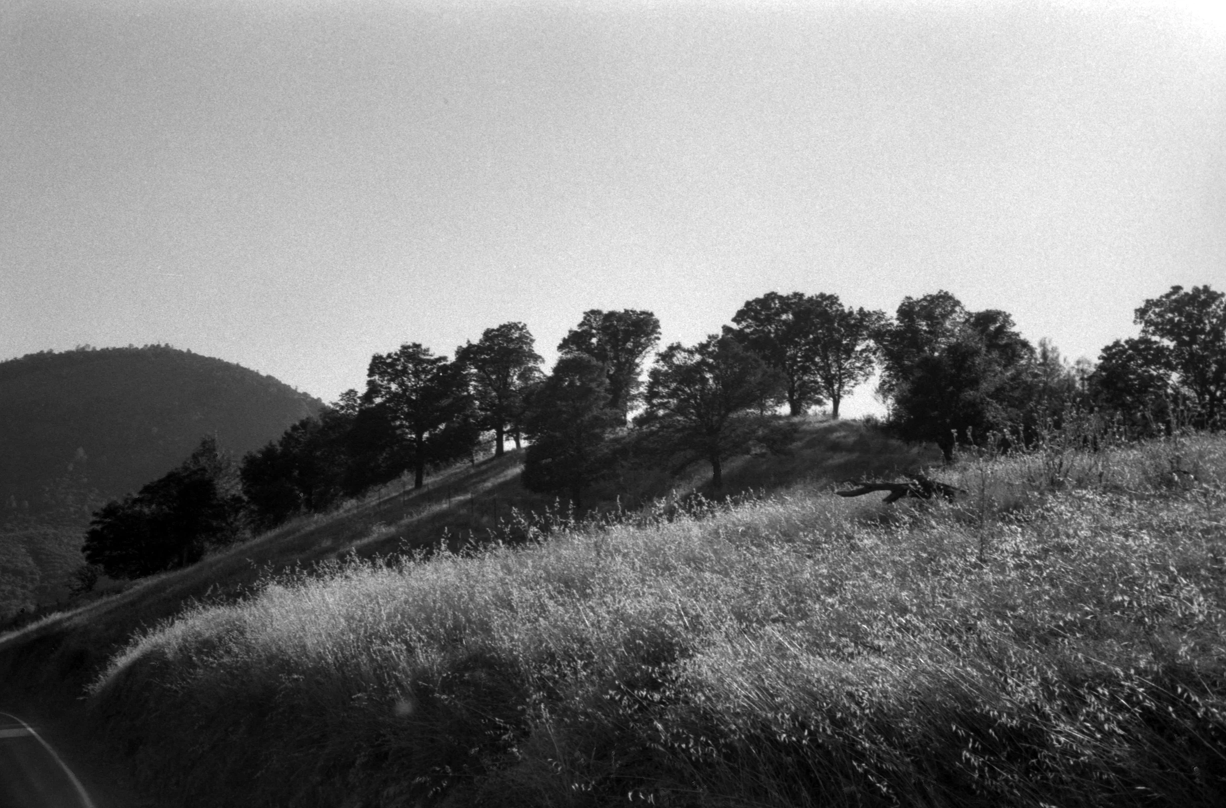  ​Yosemite, California  July, 2011  © 2011 Philip R. Cloutier   ​ 