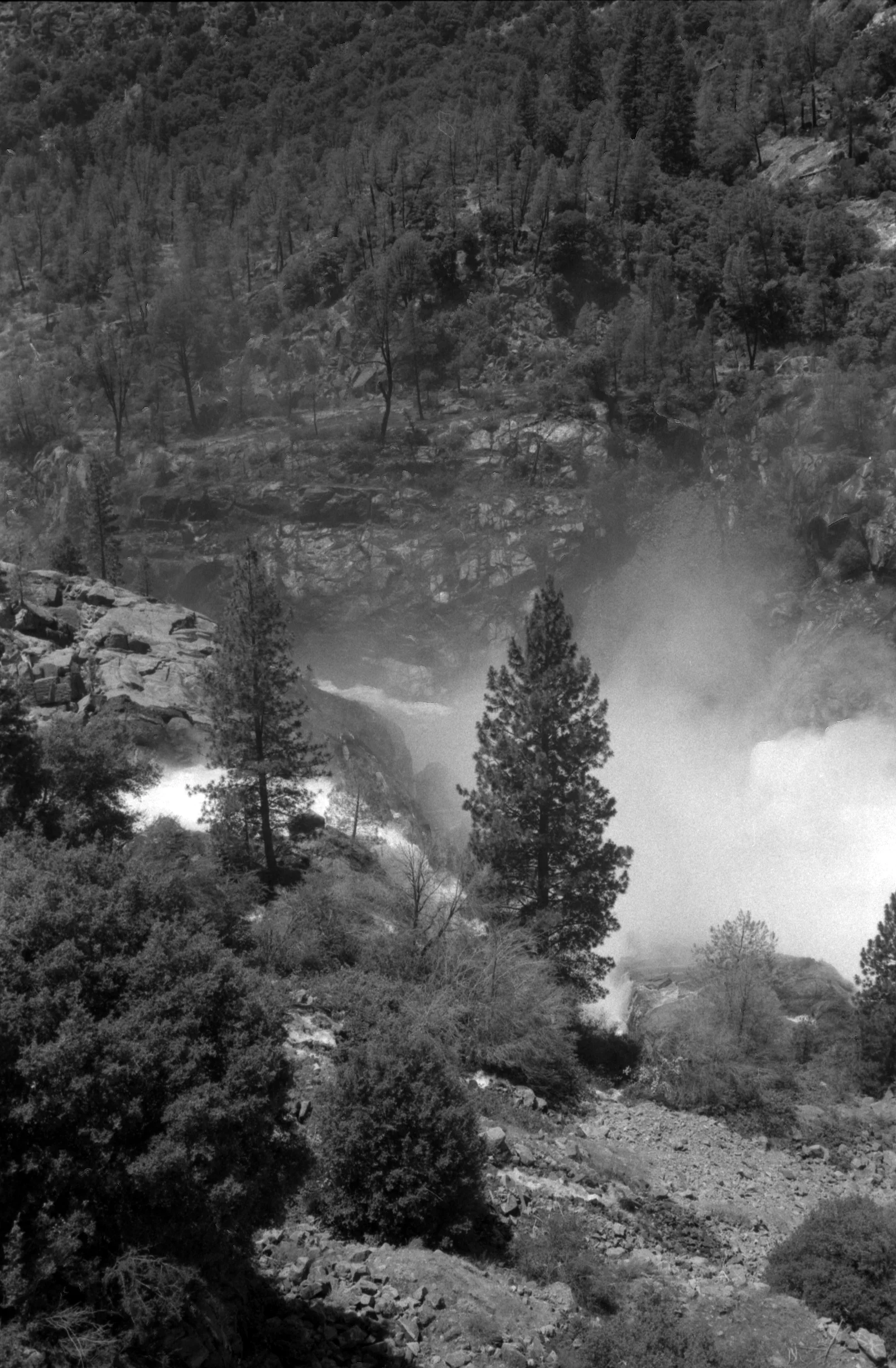 Epson_07202011_2137_Canonet_HP5_27A.jpg