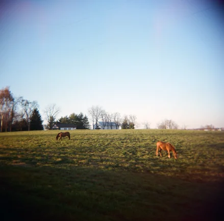 120612_3564_Holga_Portra_0004.jpg