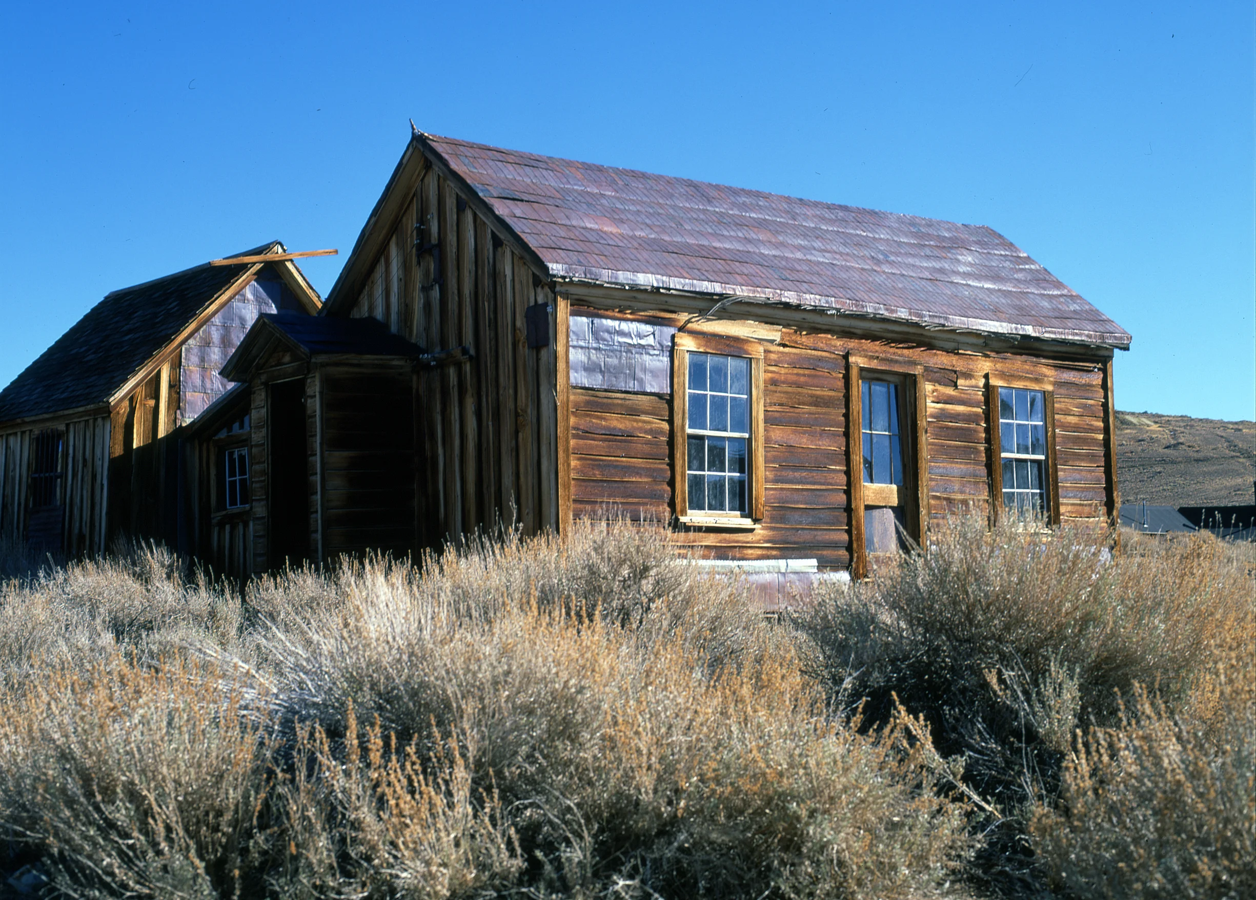 Epson_112109_Mamiya_Velvia1_11.jpg