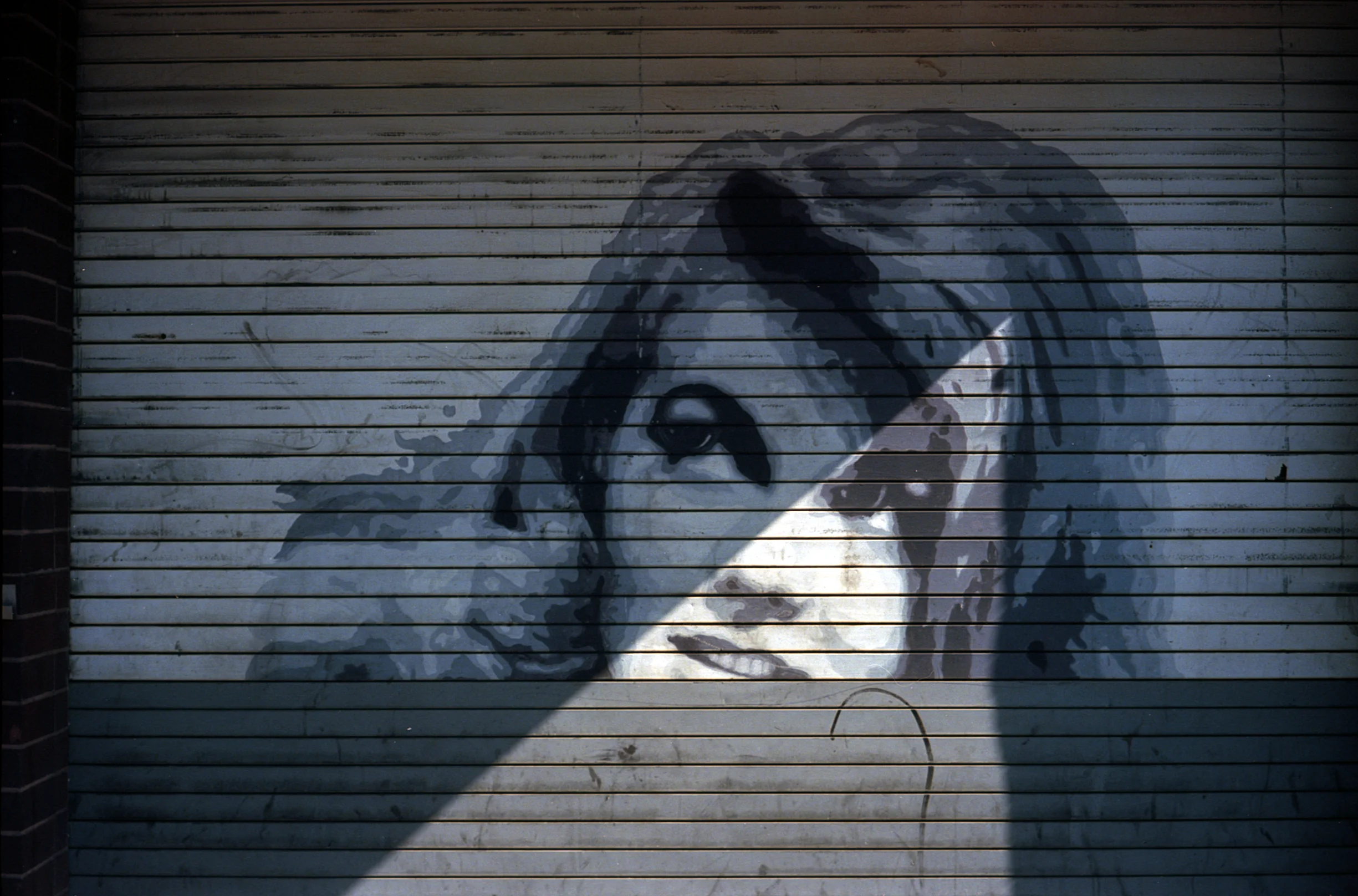 Store Shutter, Hollywood Blvd.