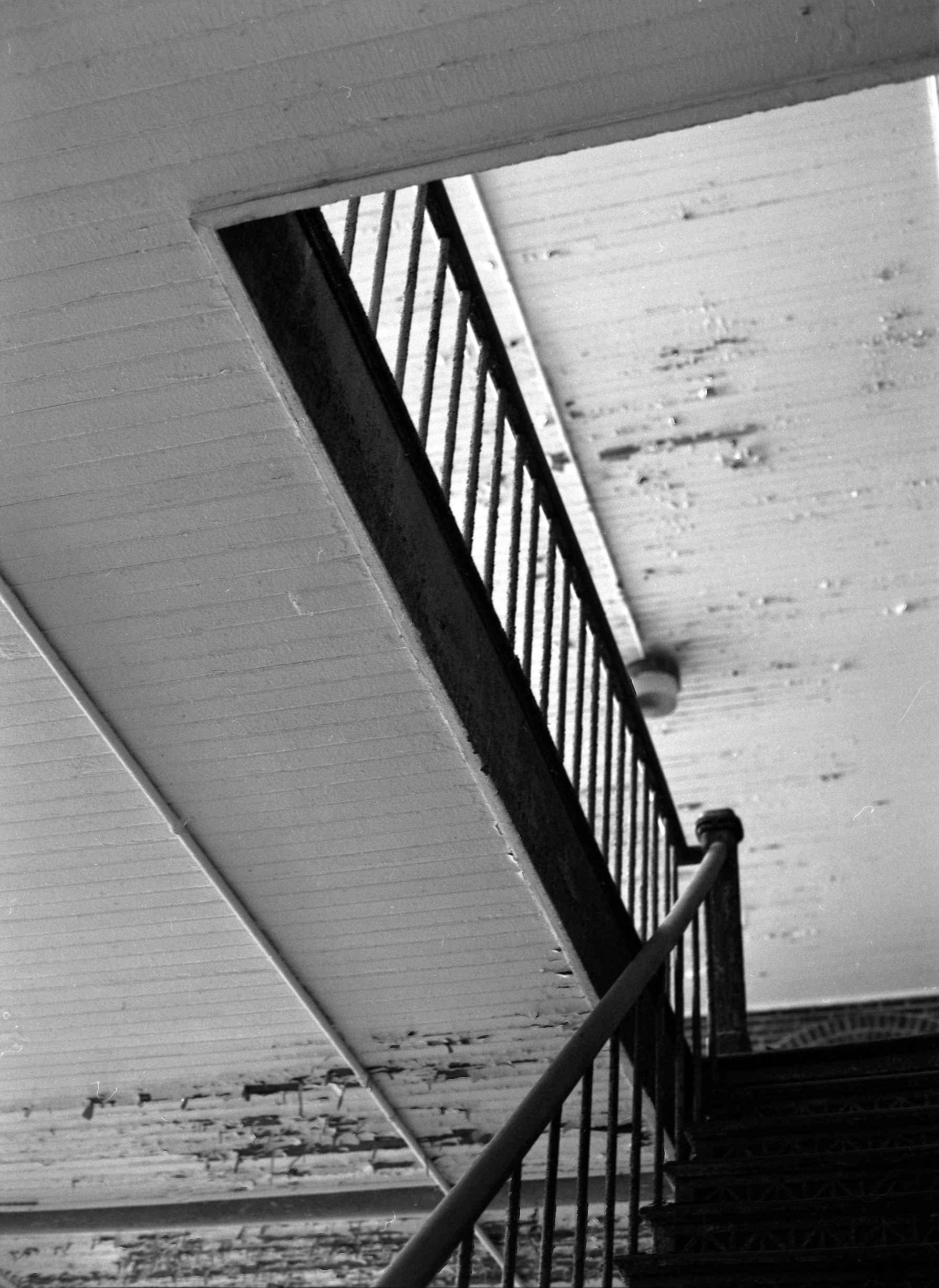 Epson_01162012_3845_Mamiya_XP2Super_2.jpg