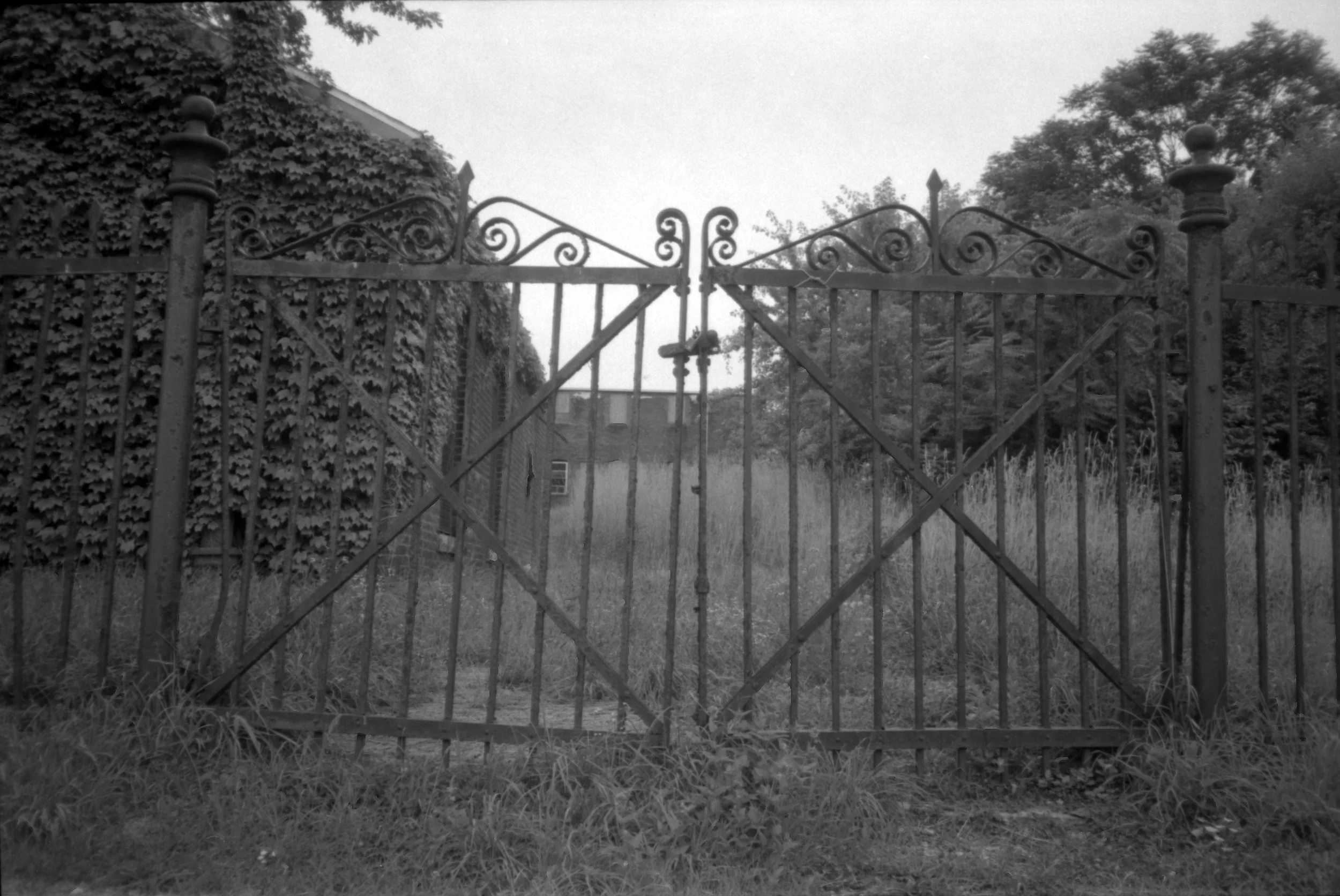 Epson_08222012_7294_OlyXA_FP4Plus_12.jpg