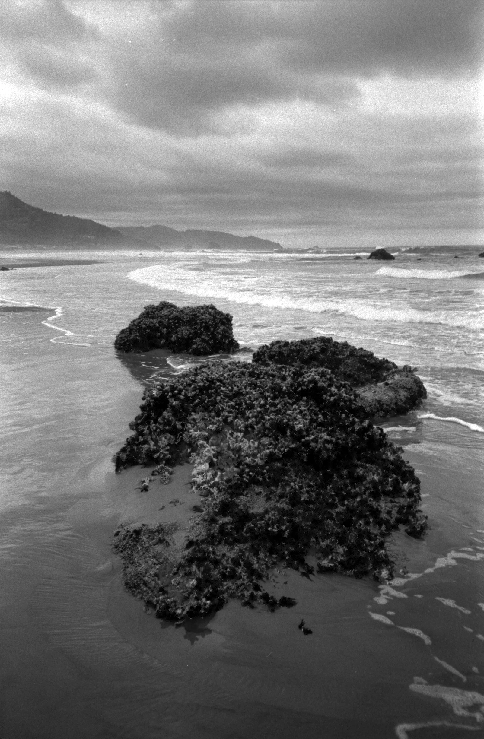 Epson_10222011_5927_OlyXA_HP5Plus_30A.jpg