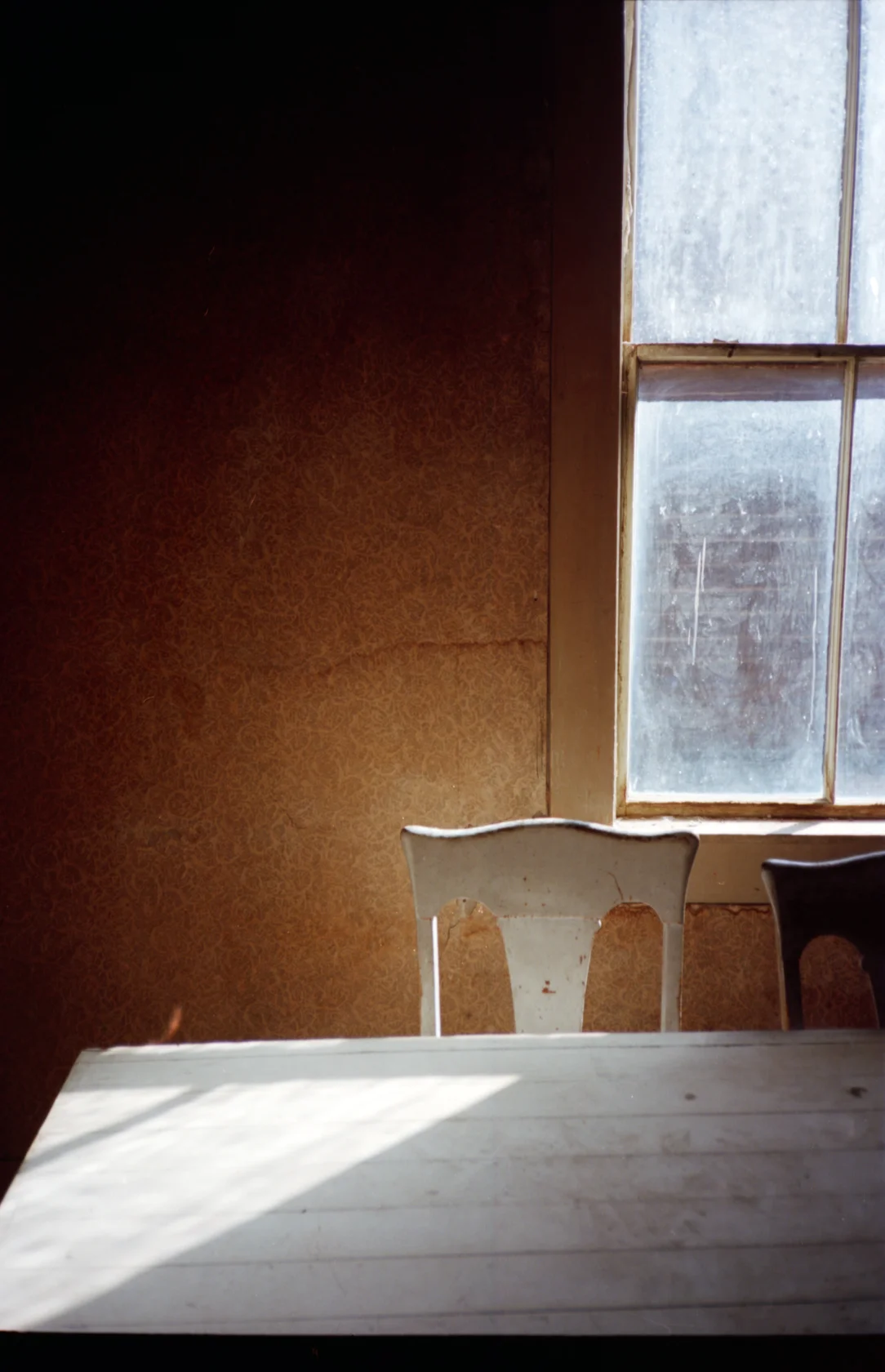 111309_OlyXA_Ektar2_3CROPPED.jpg