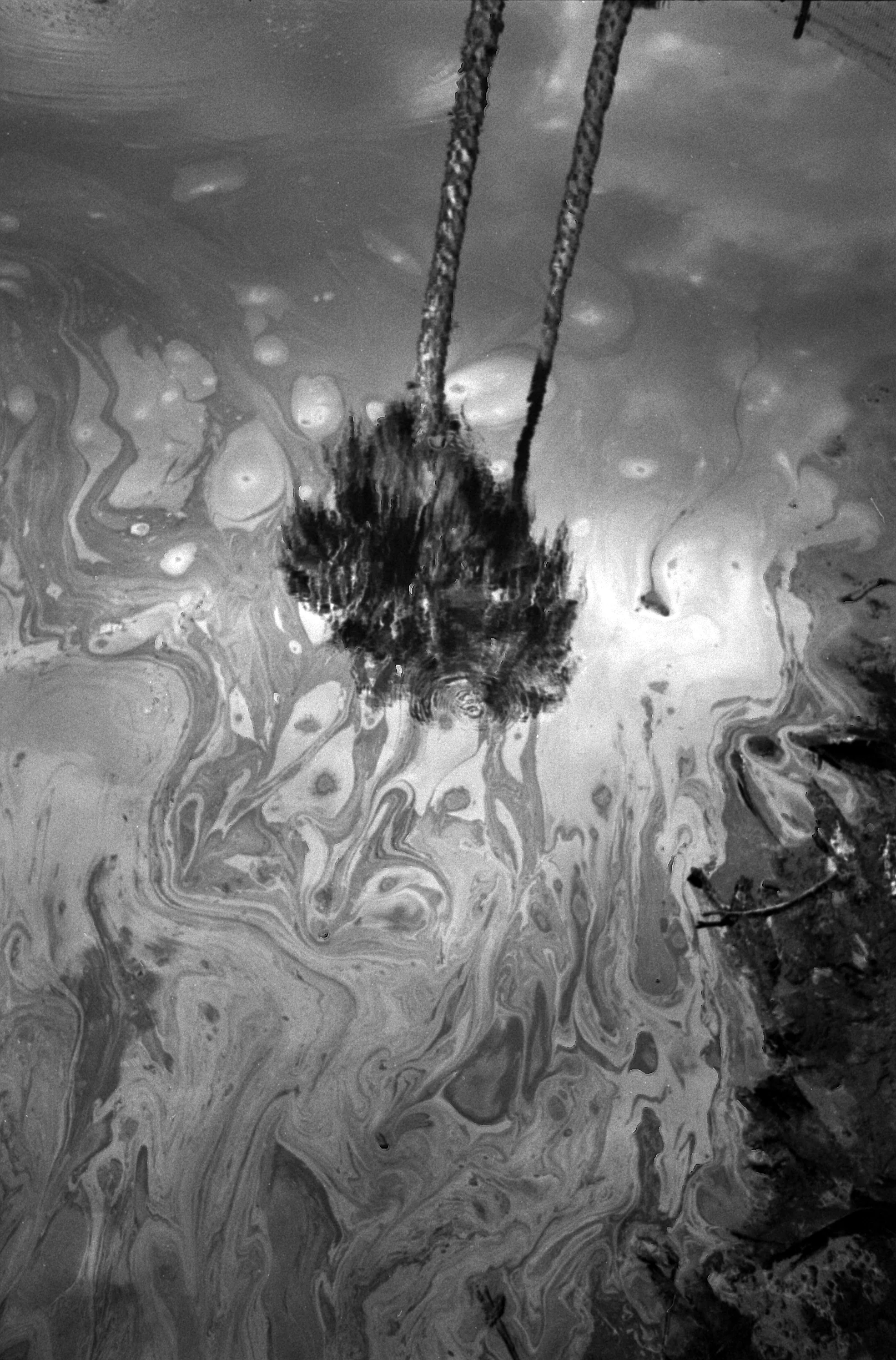 La Brea Tar Pits