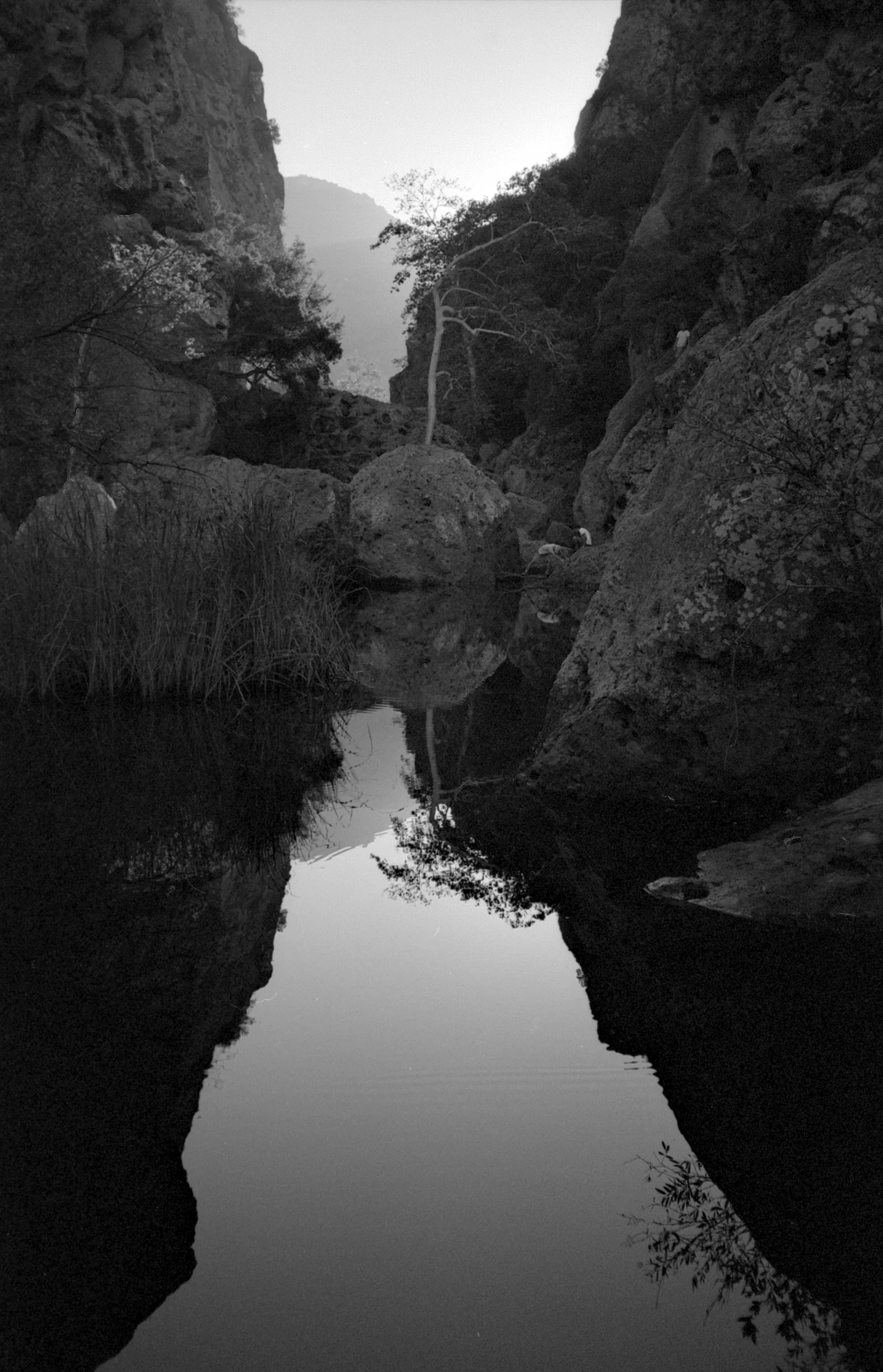Epson_Dec15OlyXA2Ilford_9A.jpg