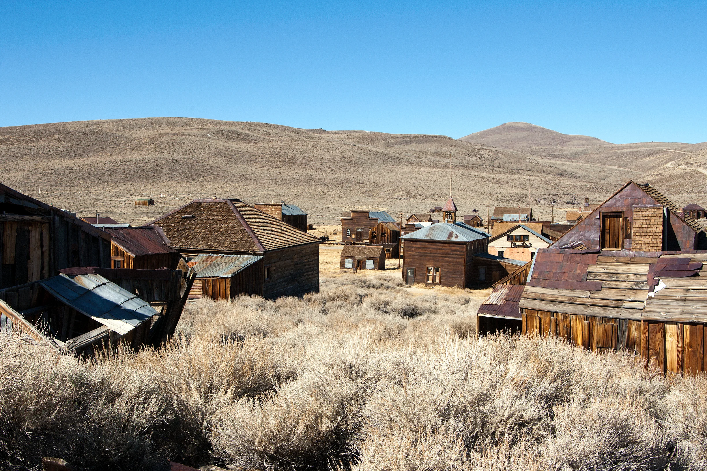 Bodie