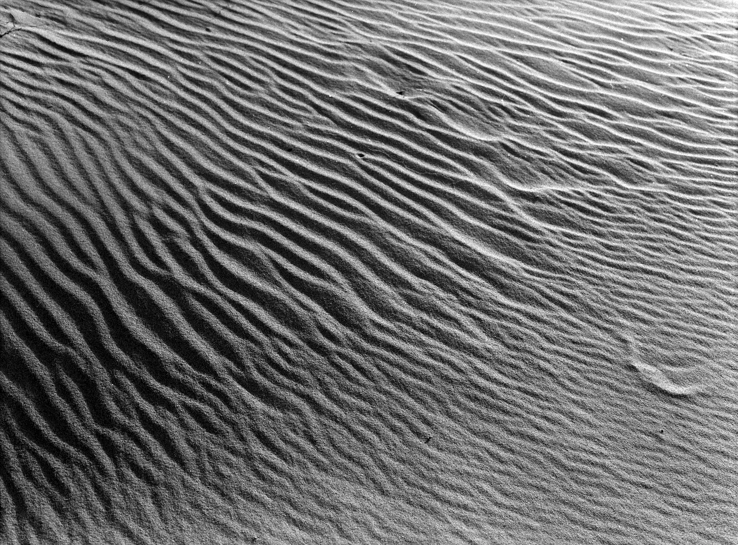 Guadalupe-Nipomo Dunes #24