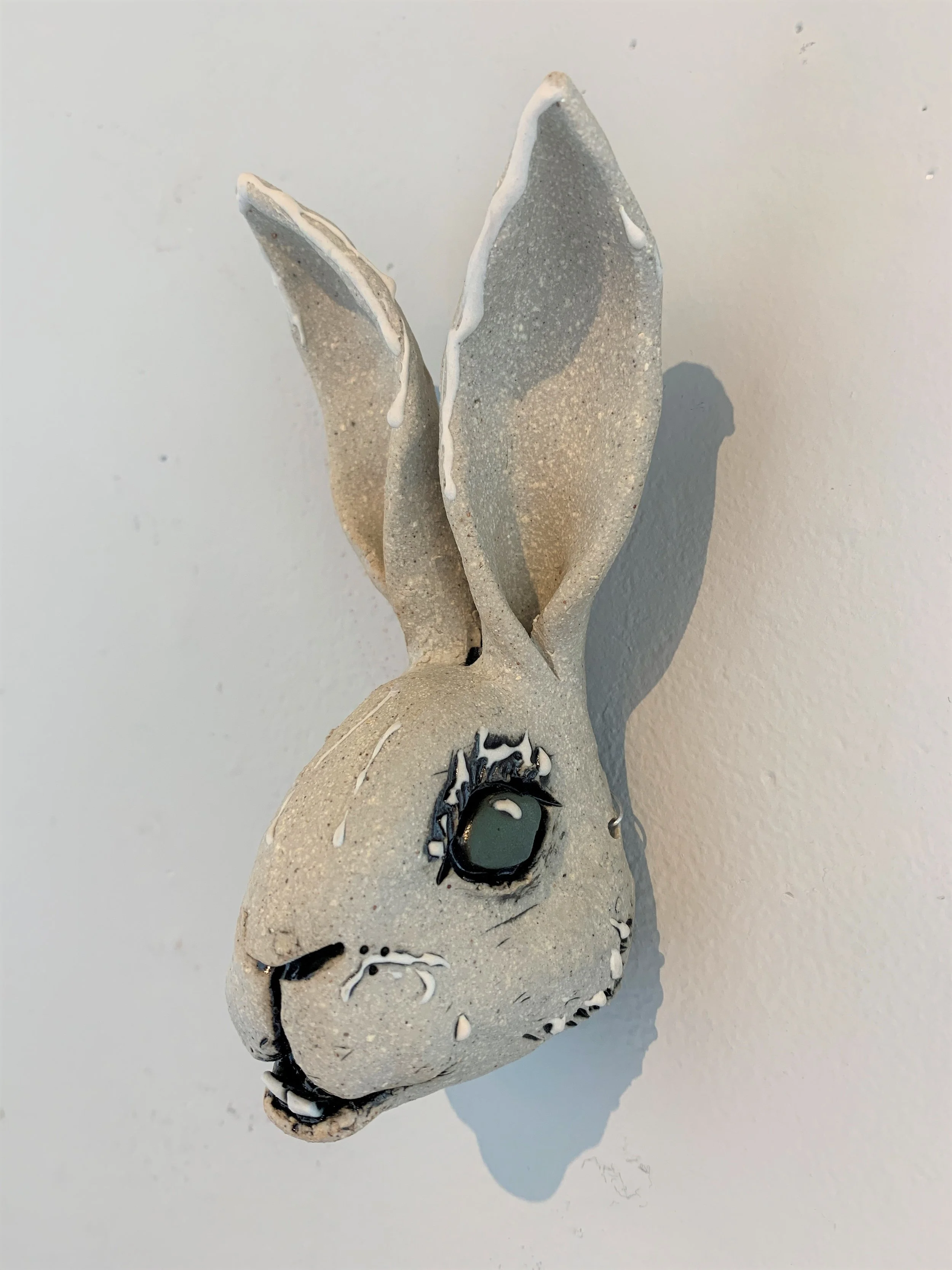 Hare Head 7 6.5x3