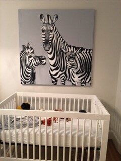 Everett's Nursery, Zebras 2015.jpeg