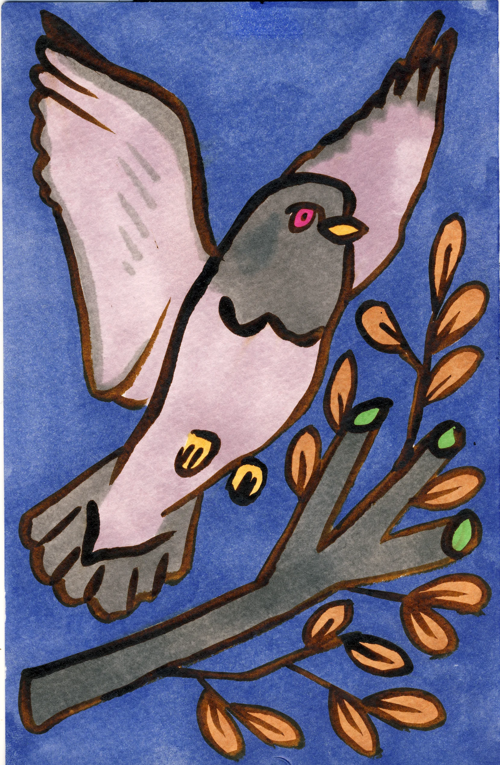 pigeon.jpg