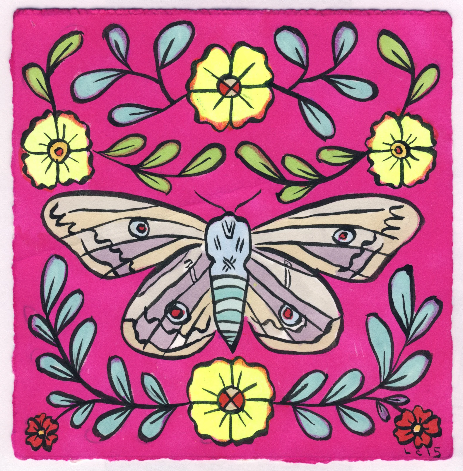 Moth