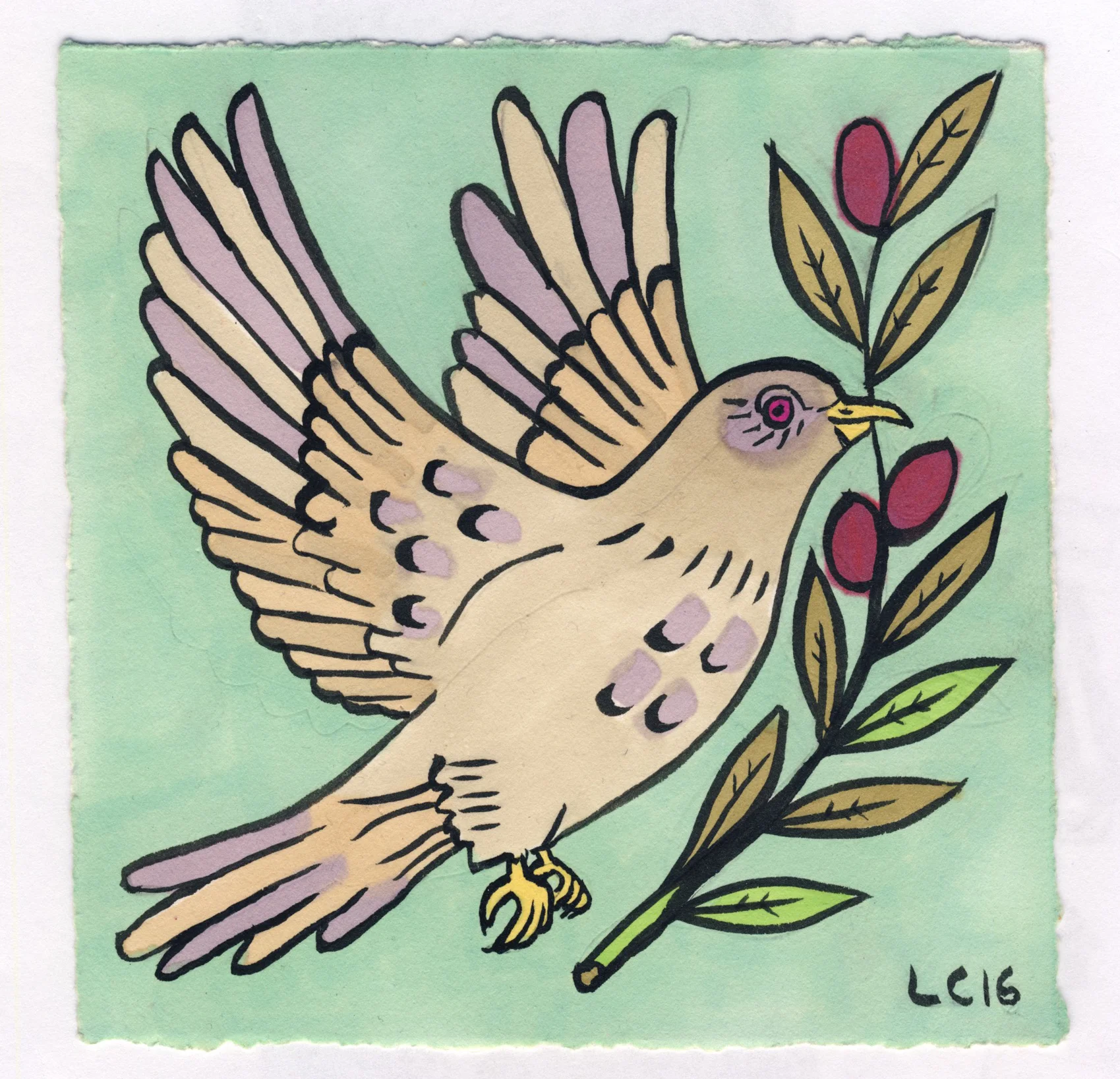 olivedove.jpg