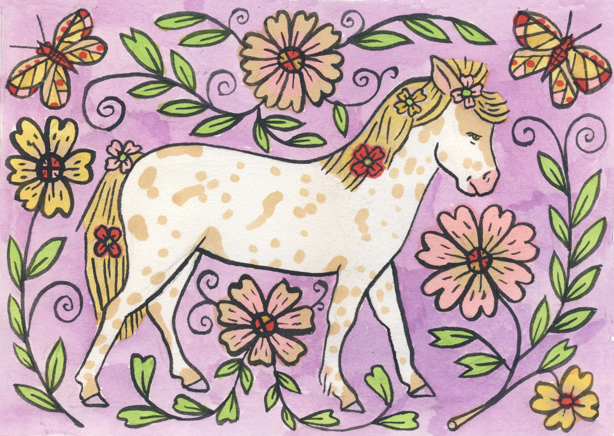 Spotted Pony