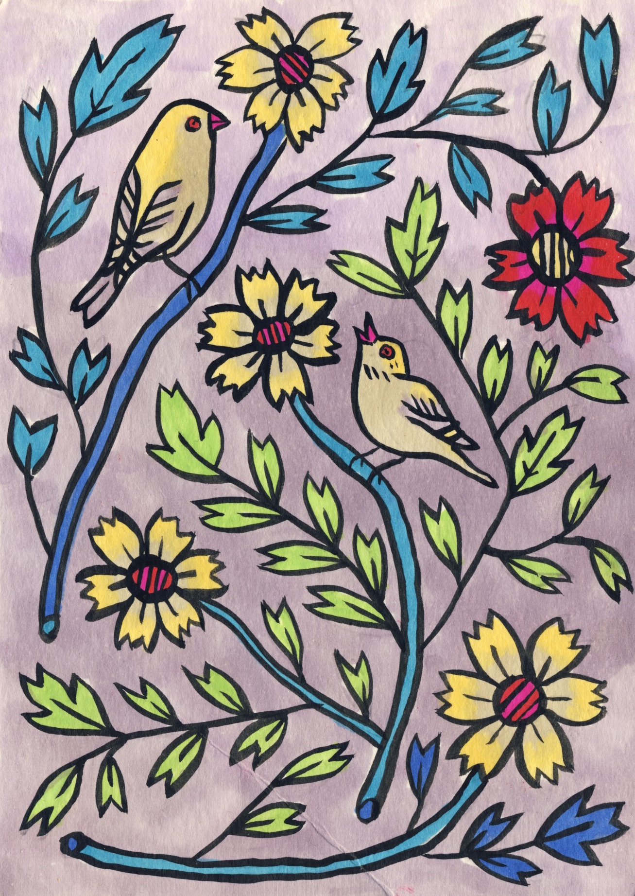 Birds