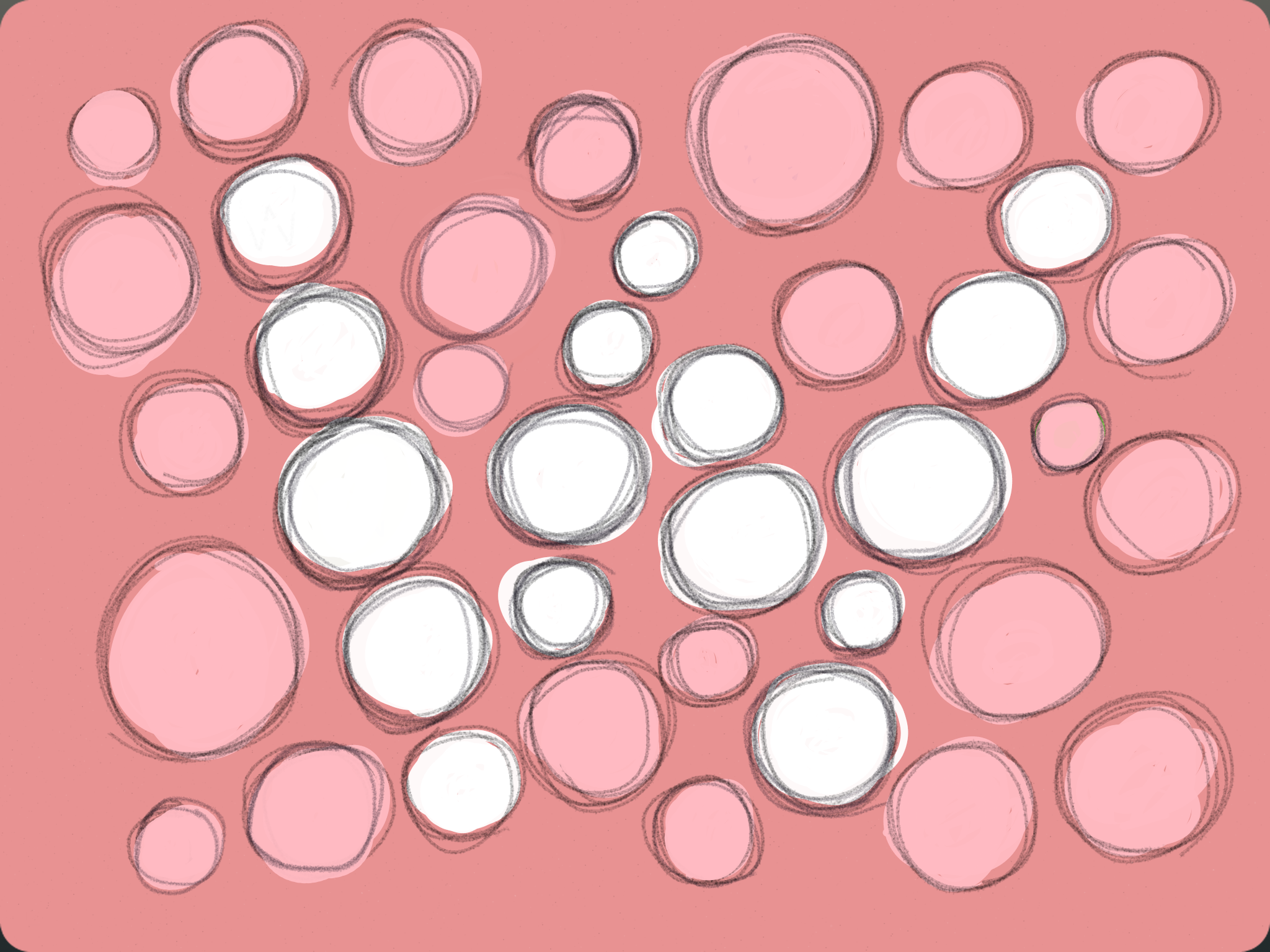 IMG_1172.png