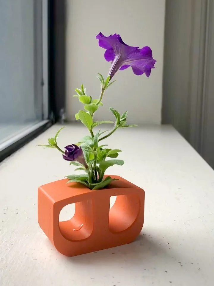 /
Just a Flower Ring
sitting on a windowsill.
Nature is on hand.
/
#haiku #flowerring #flower #flowers #blooming #timelapse #3dprint