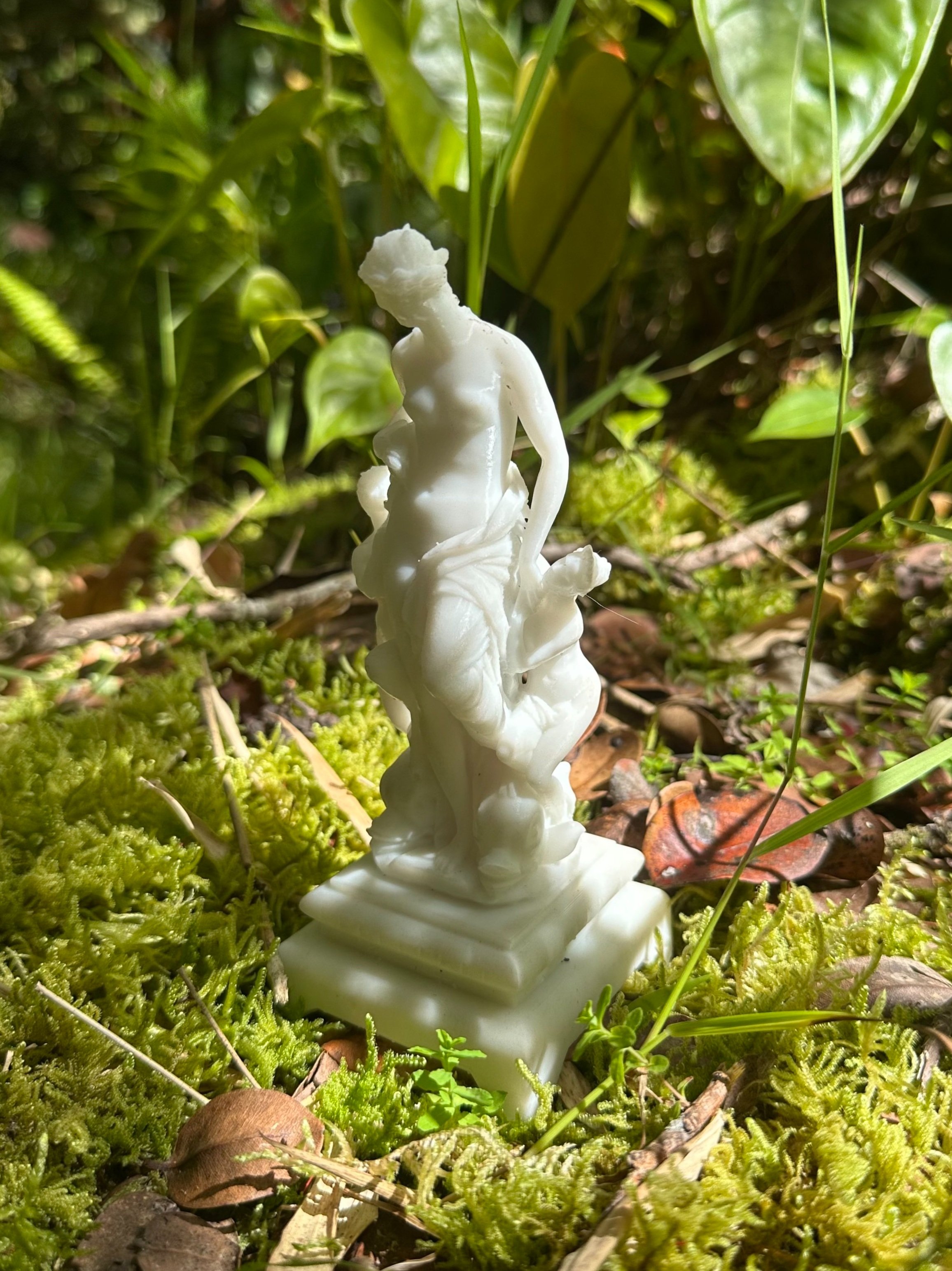 IMG_8629.jpg