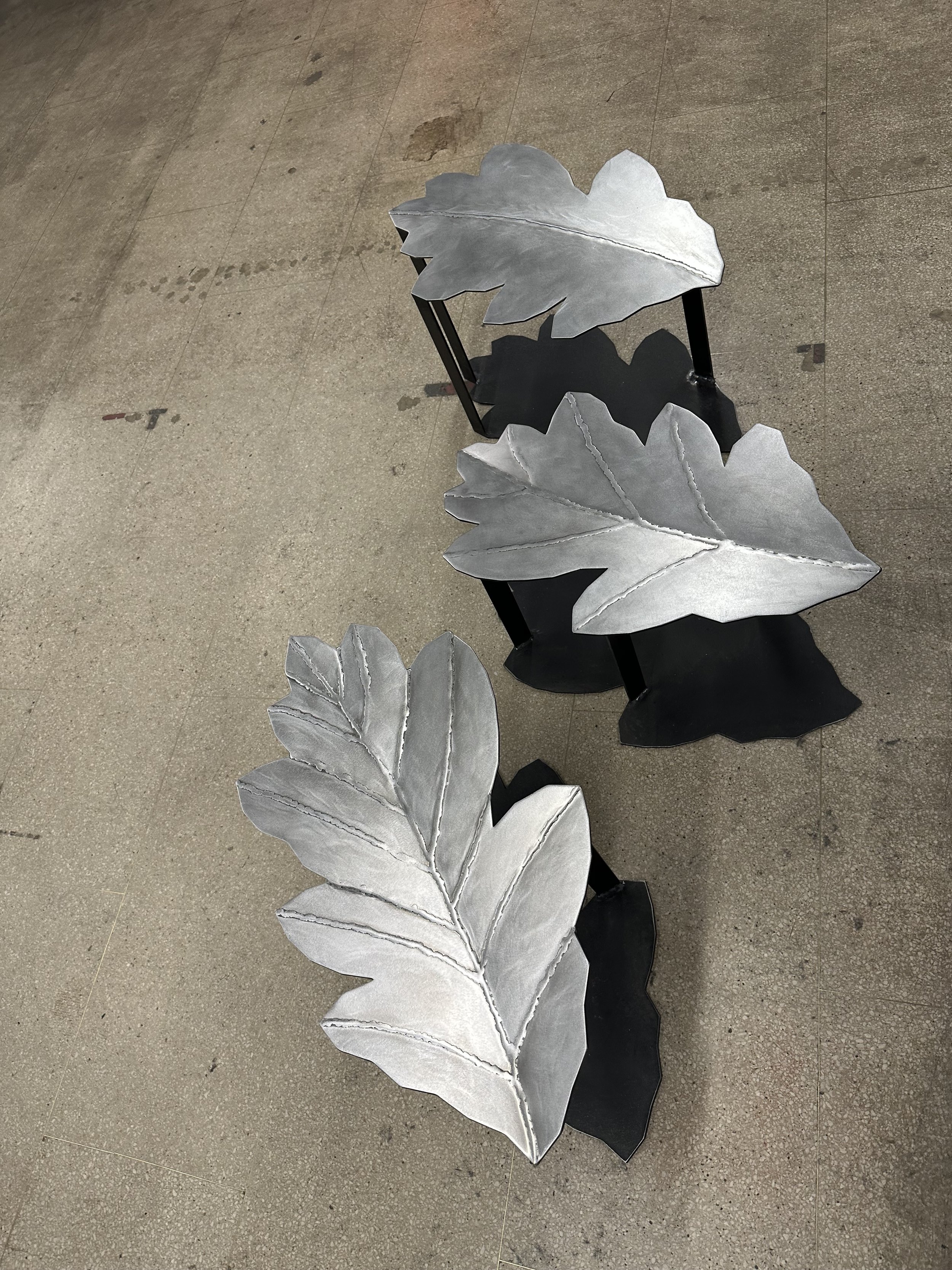 Falling Leaves