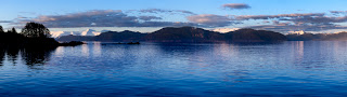 8 shot stitched panorama There are 50 eagles easily identified in this shot, by the way