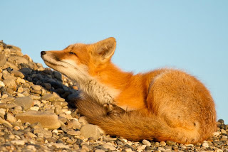 Alaska_August-165.jpg