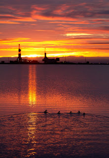 Sunset swim.
