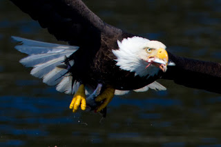 20110428_NorthernSong-1380.jpg