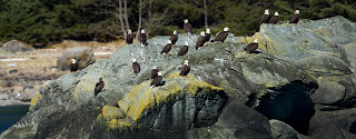 20110428_NorthernSong-392-Edit.jpg