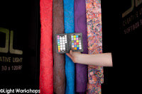 VictoriaSchmitt-6.jpg