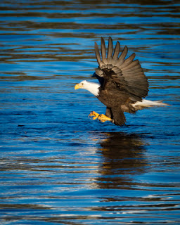 20110428_NorthernSong-107.jpg