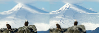 20110428_NorthernSong-1585two.jpg