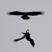 20110504_InsidePassage_Final-143.jpg