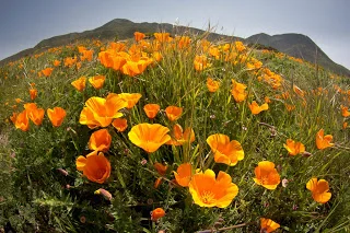 Image by Rob Sheppard © 2011