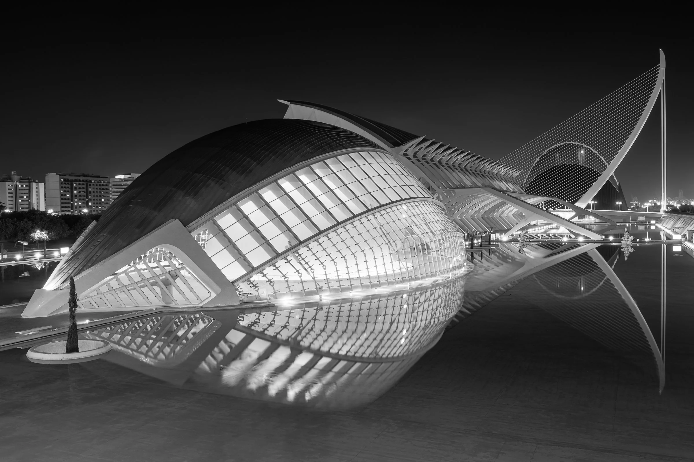 Rising From The Depths