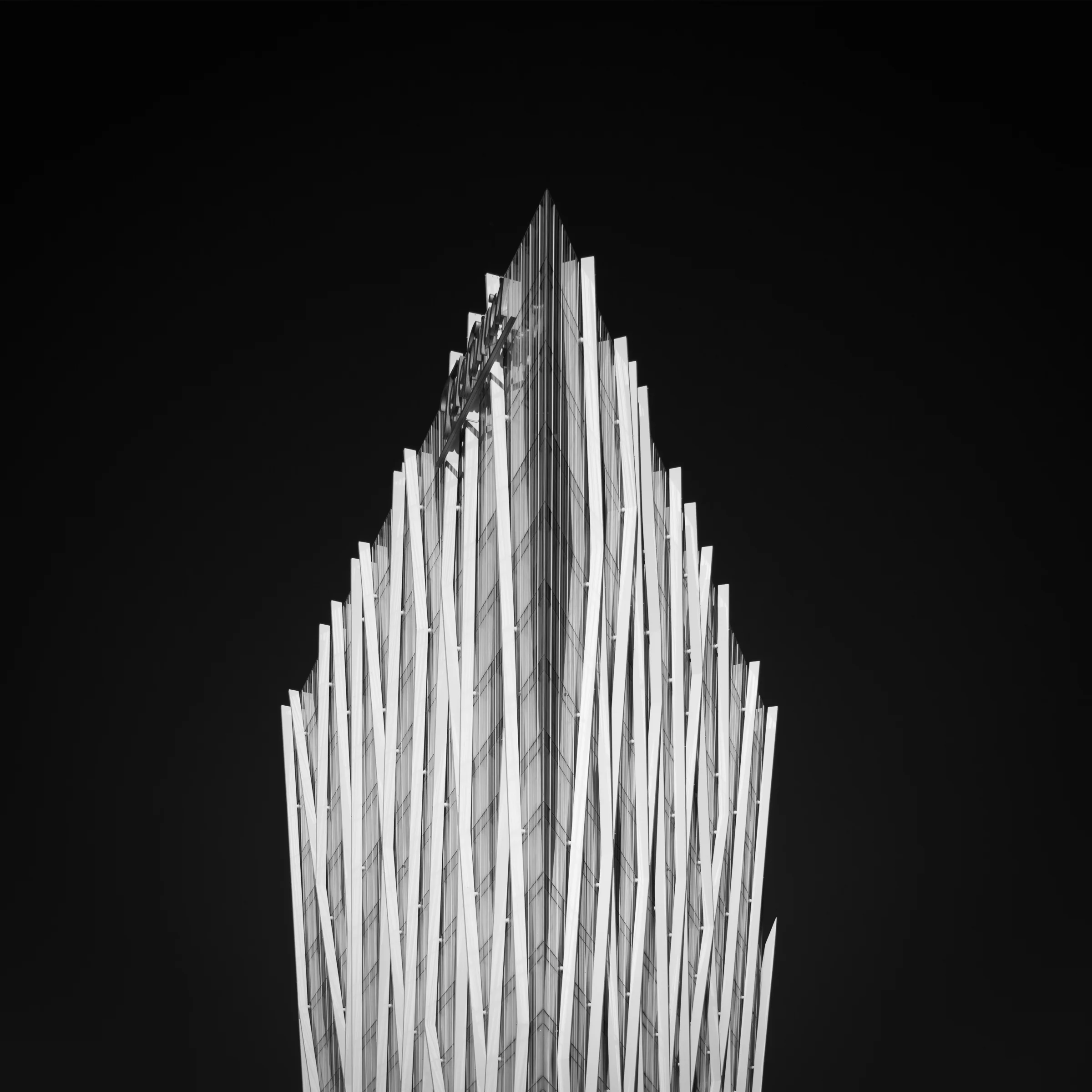 Fingers to the Sky