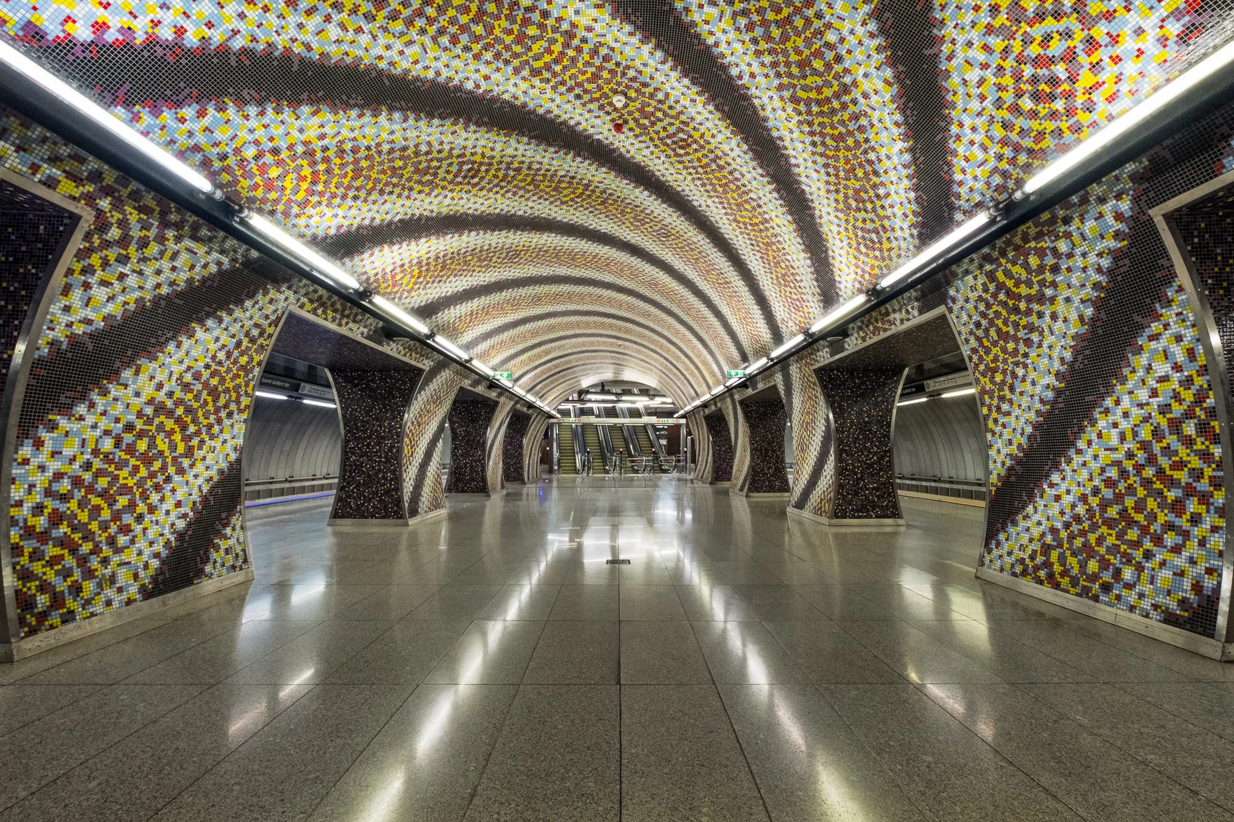 In the Belly of a Snake