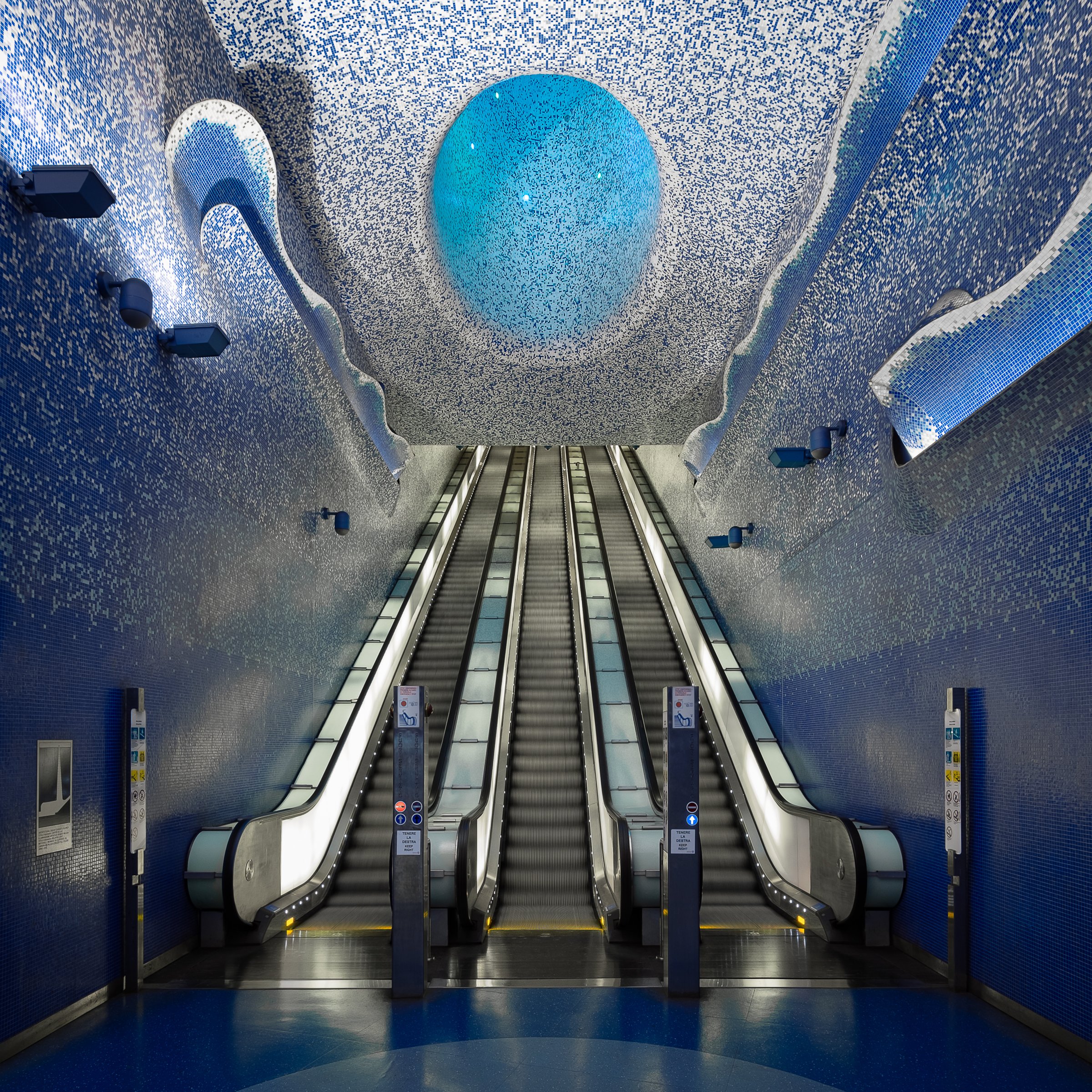 In an Octopus's Garden