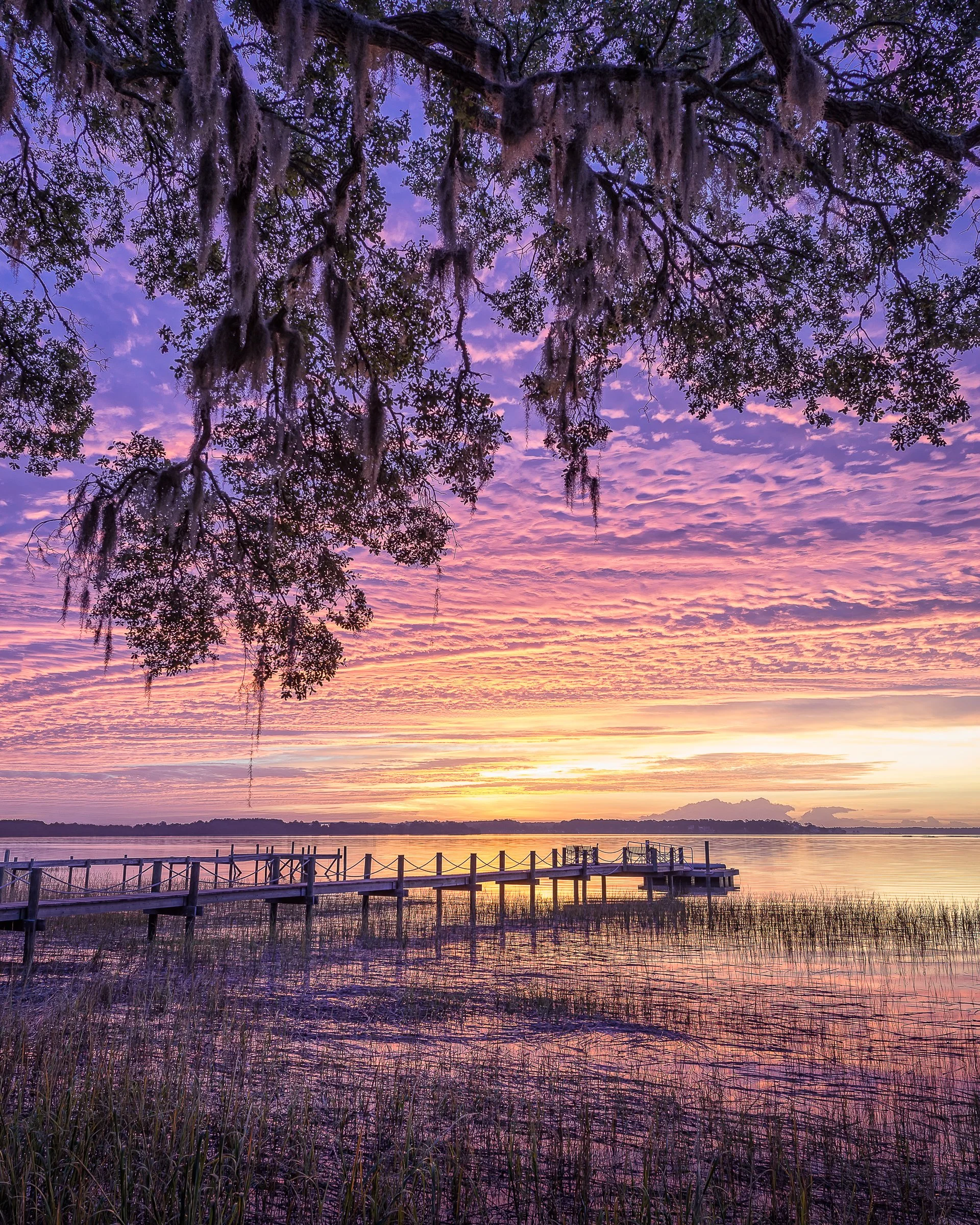 Low Country Sunrise