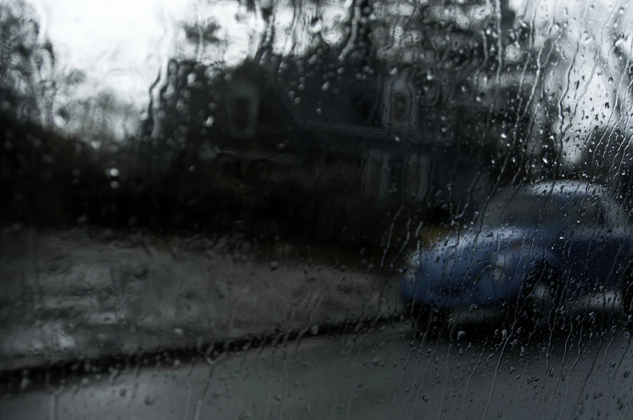 Blue Bug.jpg