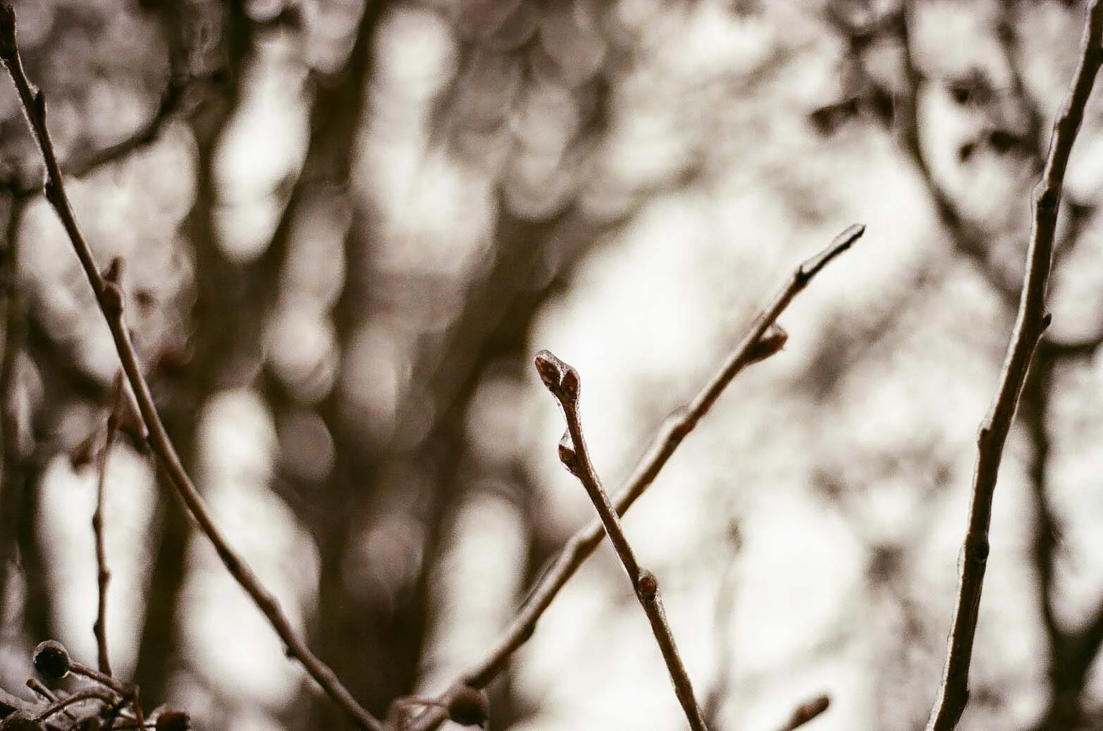 film 16_34.jpg