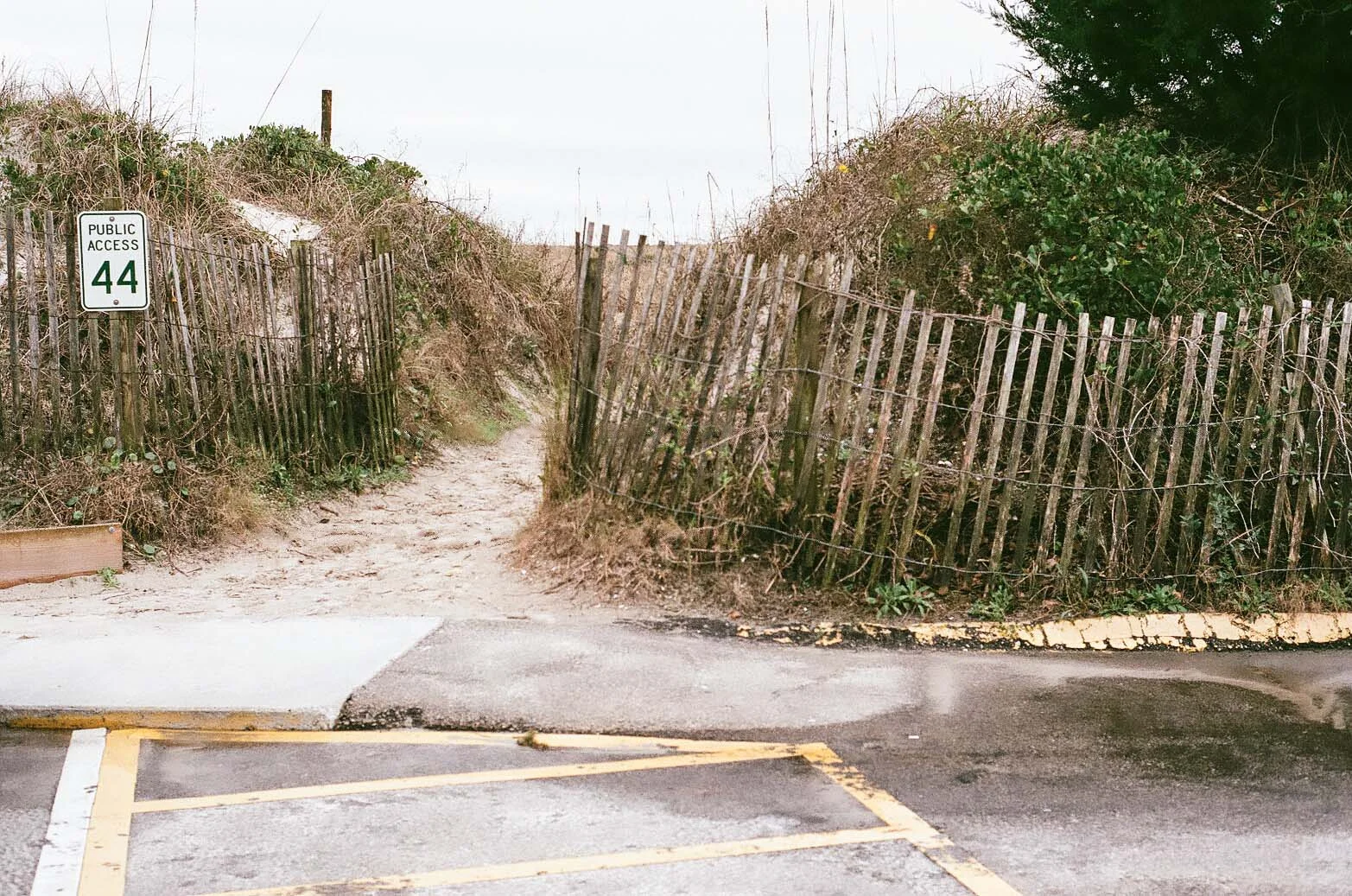 film 16_89.jpg