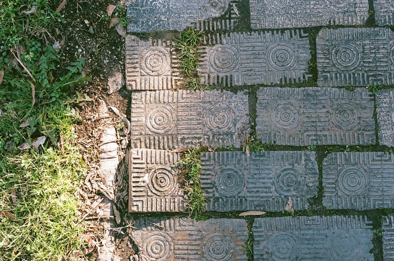 film 16.jpg