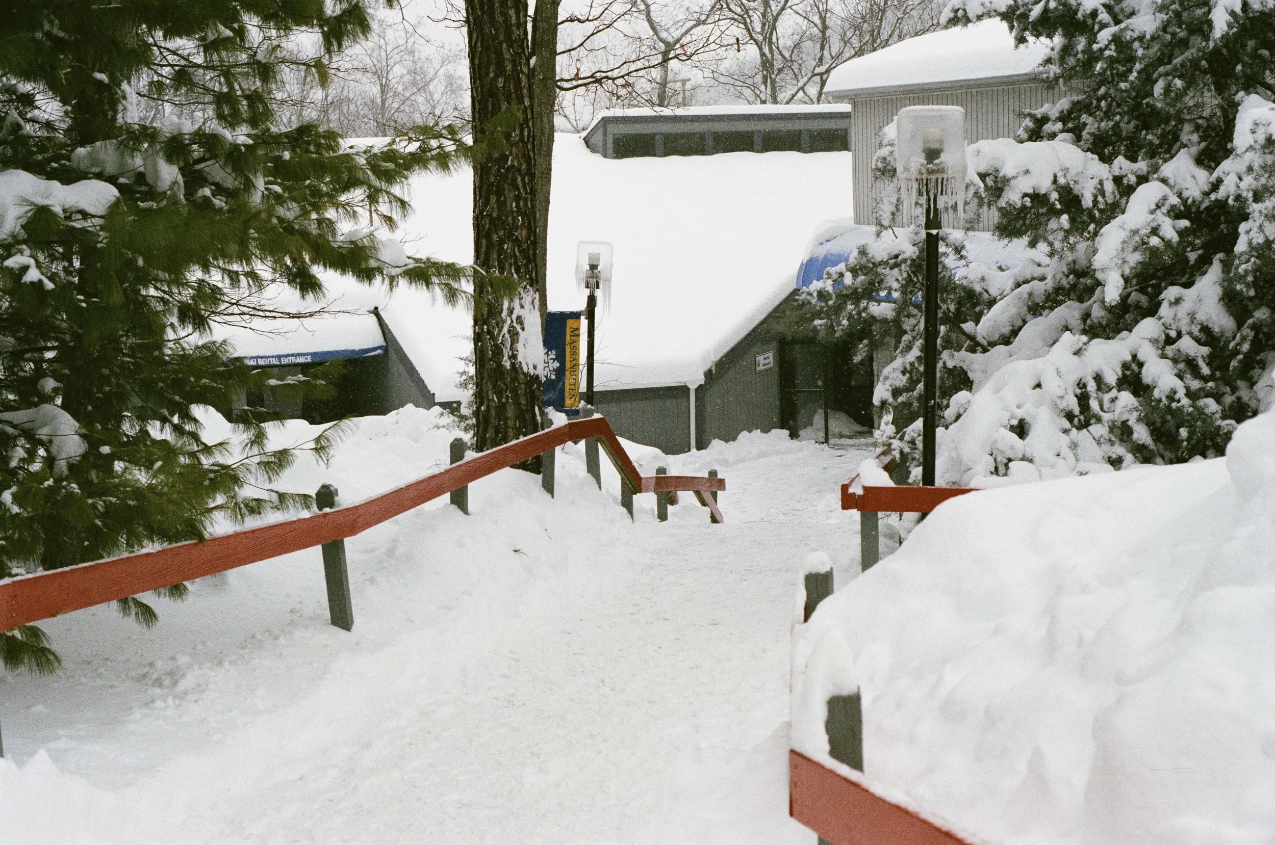 0003_23_5.jpg