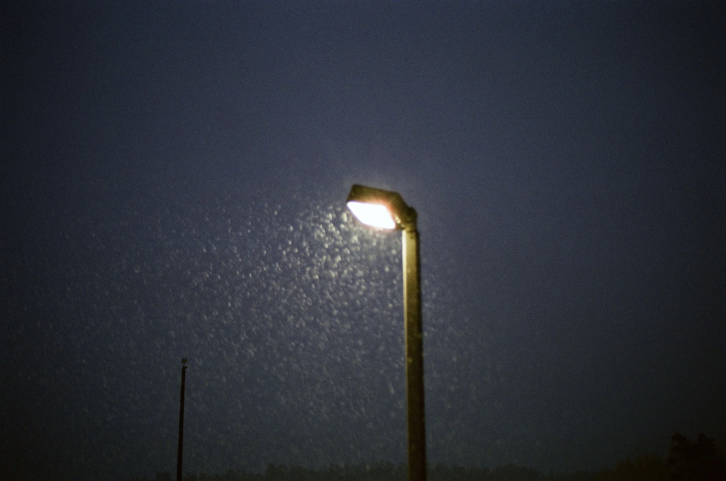 0017_8A_4.jpg