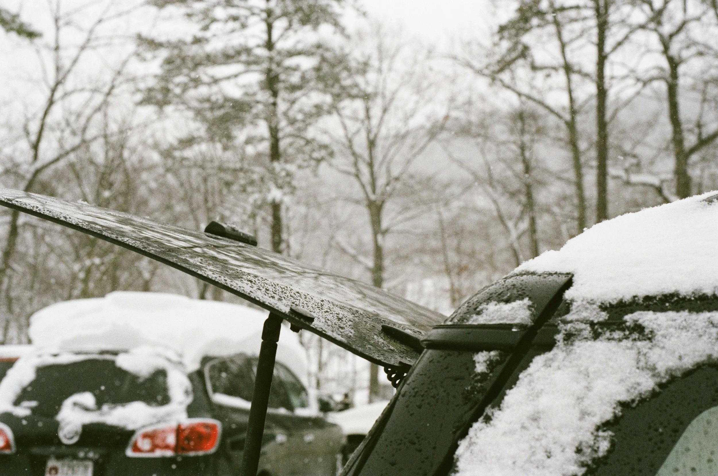 0013_13_5.jpg